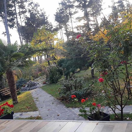 Neli & Zaal Guest House Telavi Ngoại thất bức ảnh