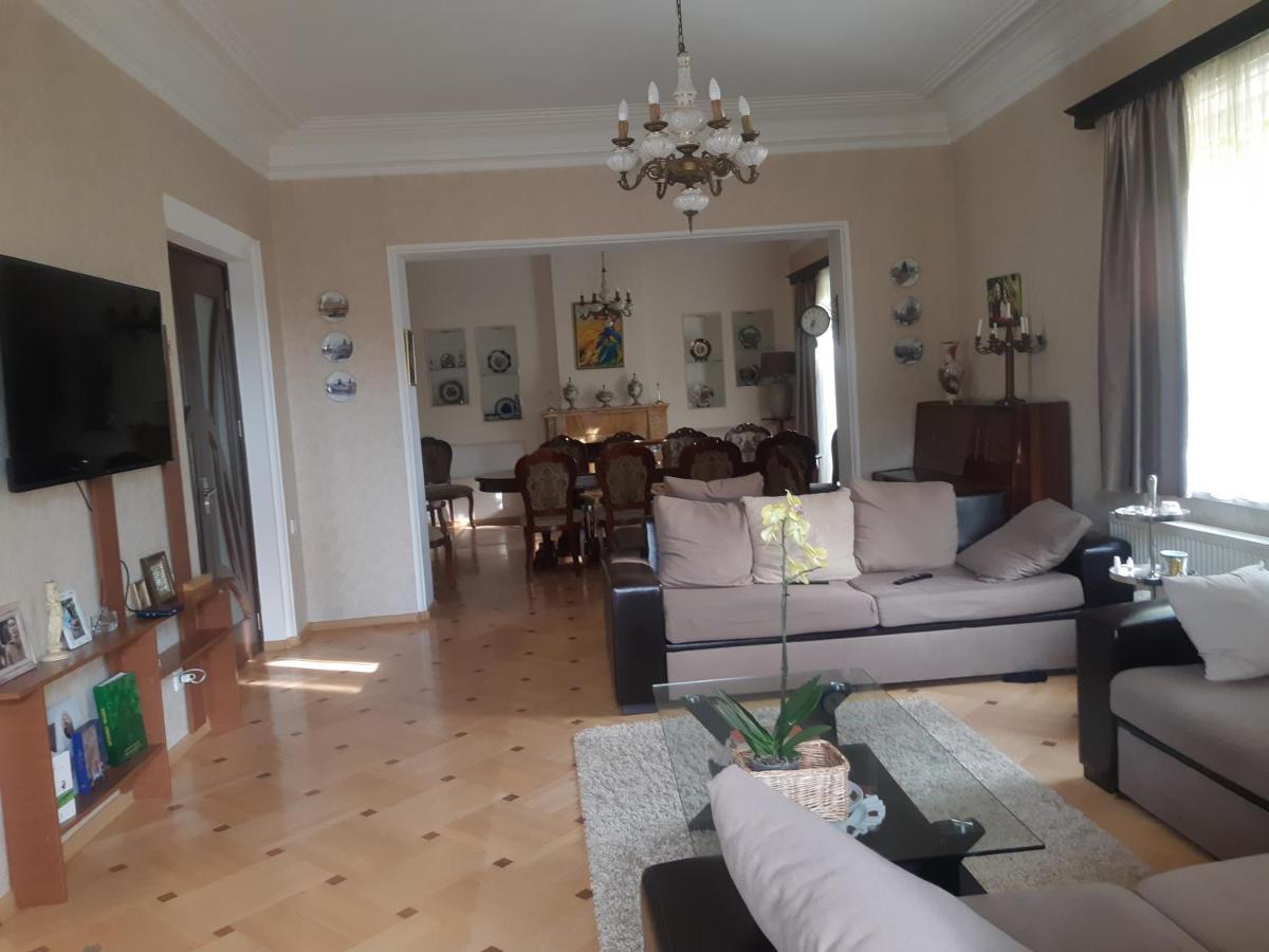 Neli & Zaal Guest House Telavi Ngoại thất bức ảnh
