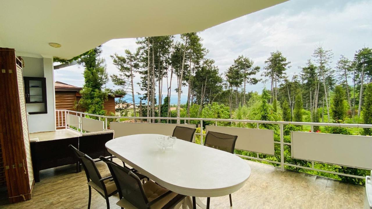 Neli & Zaal Guest House Telavi Ngoại thất bức ảnh